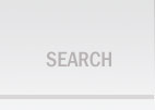 Search for a flight